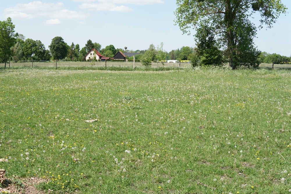 Działka na wsi pod budowę domu