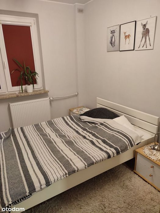 2-pokojowe mieszkanie Aleja Lotników