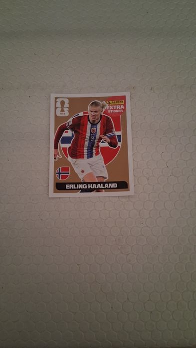 Cromos Erling Haaland