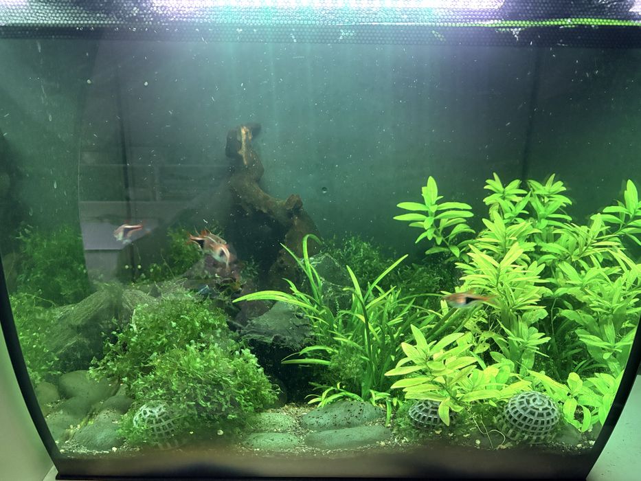 Akwarium Fluval Flex 57 L kompletny zestaw led filr rybki rośliny