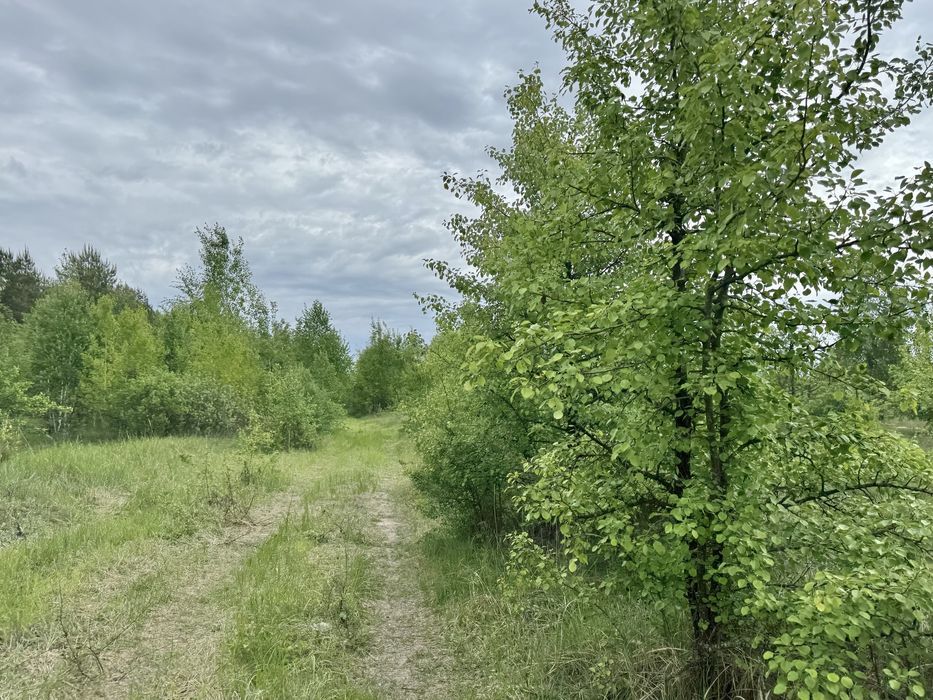 Земельна ділянка 1,5 га!!! Пилиповичі