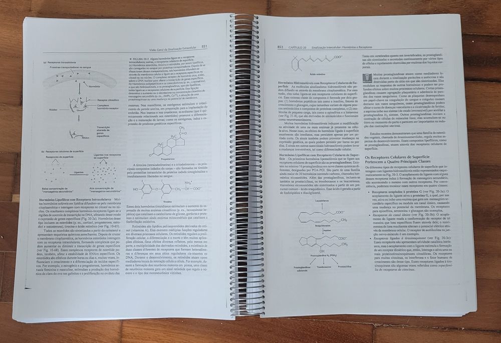 Biologia Celular e Molecular