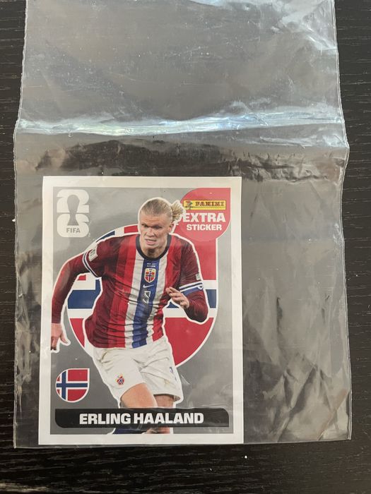 Extra stickers panini