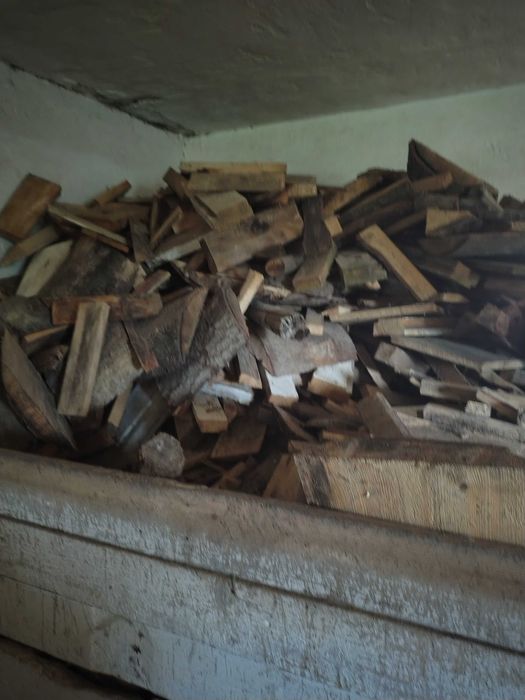 Drzewo sprzedam   pilnie