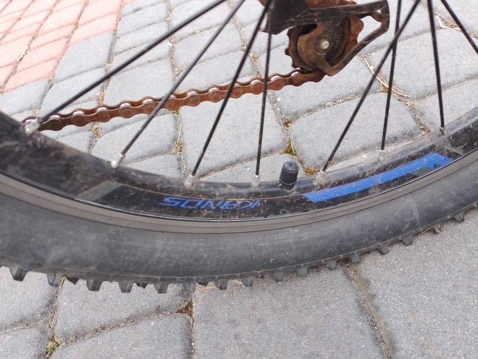 Rower dziecięcy KANDS SMART '20