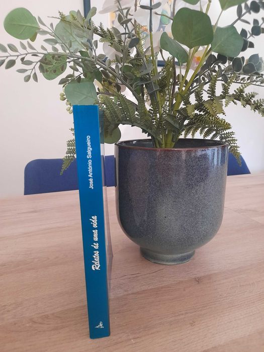 Relatos de Uma Vida (Poesia)