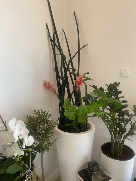 Sensowiera weżownica cylindryczna