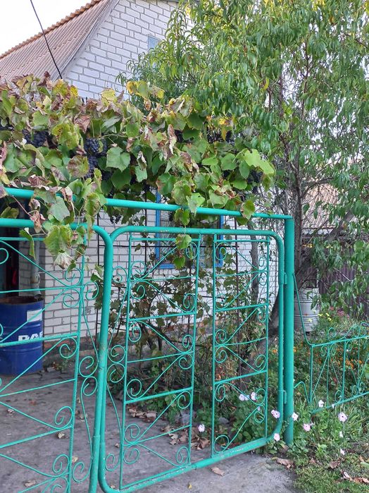 Дача в кооперативі Мрія (за межами с. Ламане) 18 соток