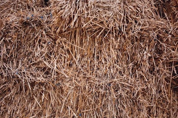 Сіно польове різнотравʼя 2025