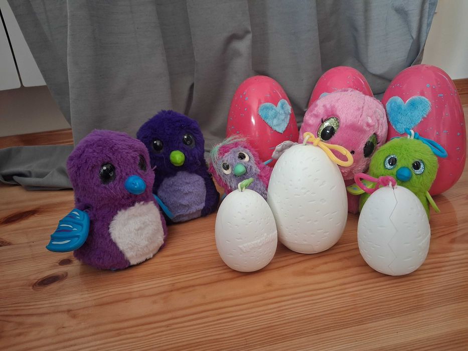 Zwierzatka Hatchimals