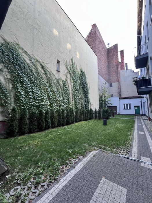 Zdjęcie 7