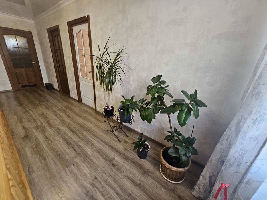 Продам дом в пригороде Одессы