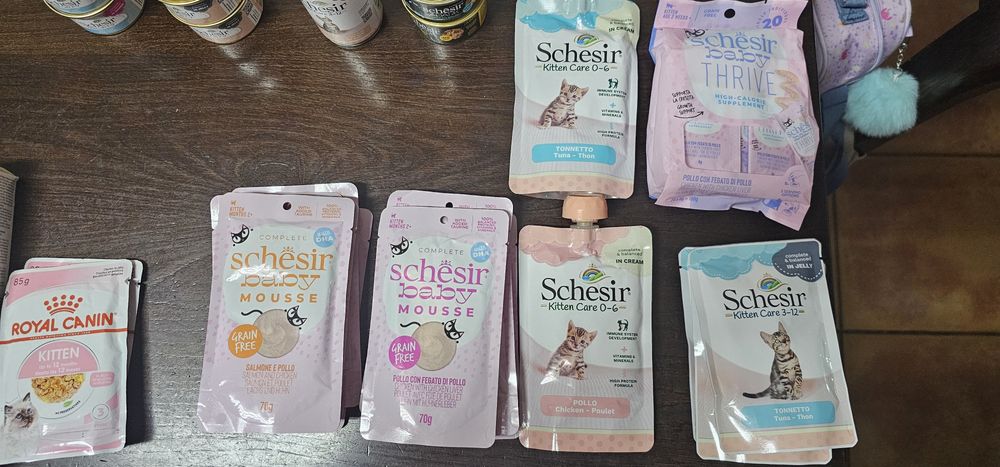 Alimentação de gatos