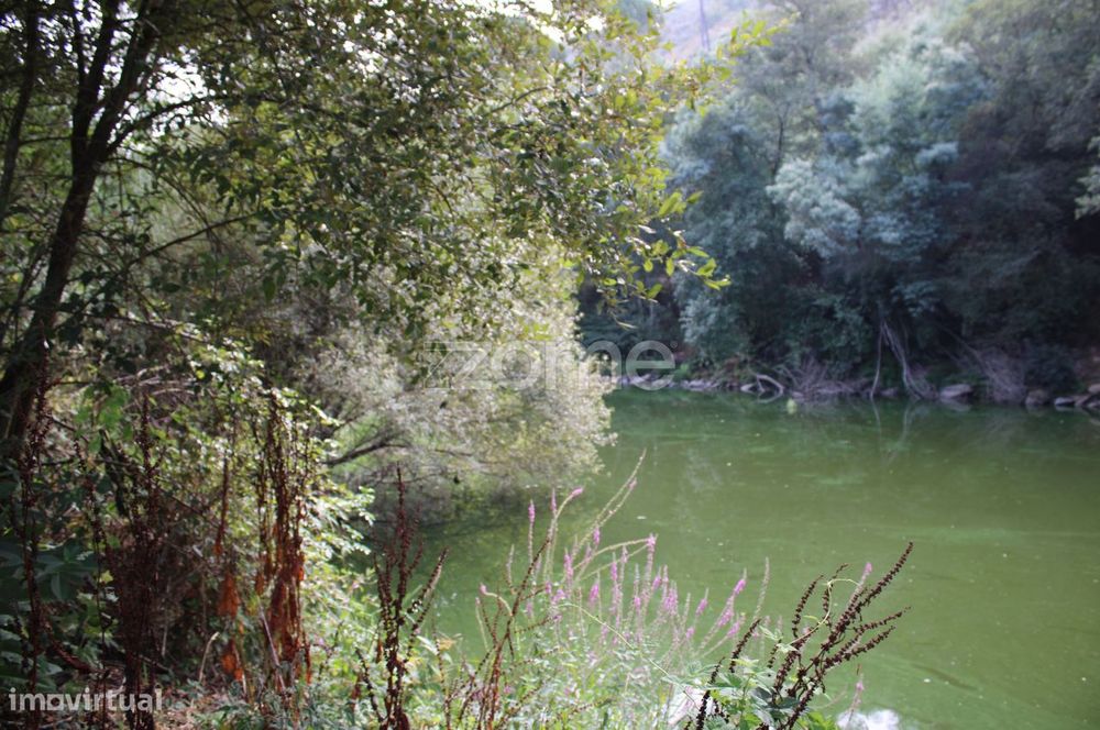 Terreno na margem do Rio Dão