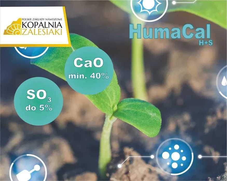 Wapno granulowane czarna kreda HumaCal H+S - Kopalnia Zalesiaki