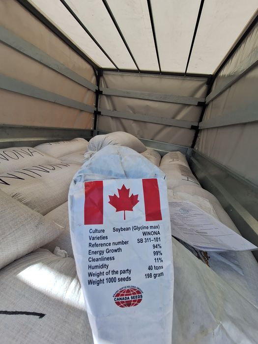 Канадська соя Вінона на посів! 1-а Реп. НЕ РОЗТРІСКУЄ Урожайність 4,5т