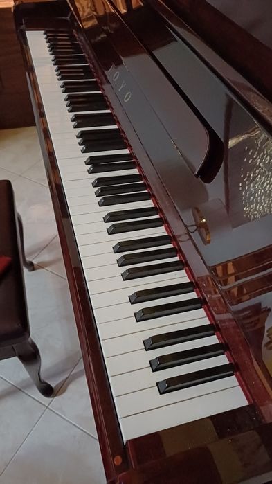 Piano TOYO com novo