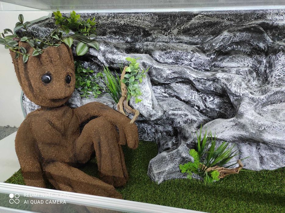 Terrarium z wystrojem dla agamy brodatej, TW46G3, AquaWaves