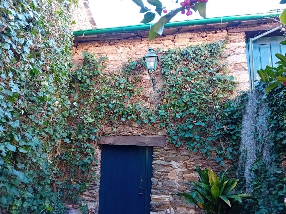 Serviços de jardinagem e limpezas.