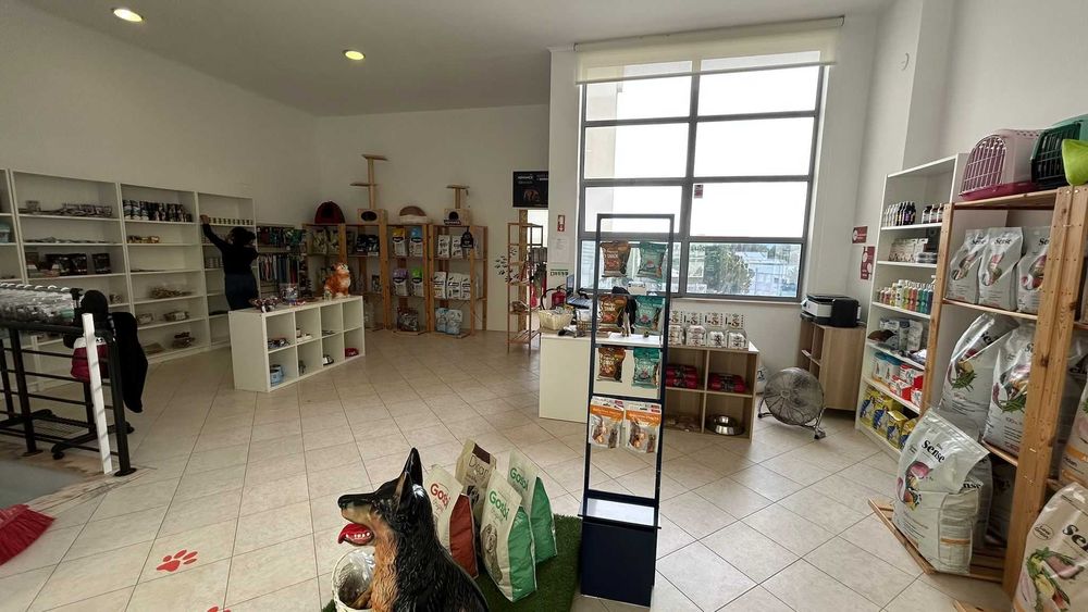 Trespasse loja de animais Laranjeiro E Feijó • OLX Portugal