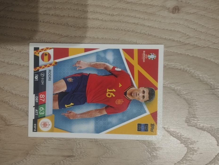Carta do Rodri Euro 2024