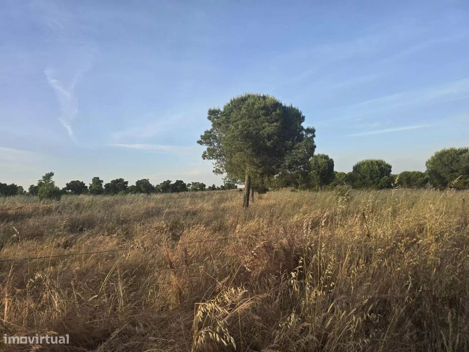 Baixo Alentejo – 55,9 ha de Liberdade e Potencial no Baixo Alentejo