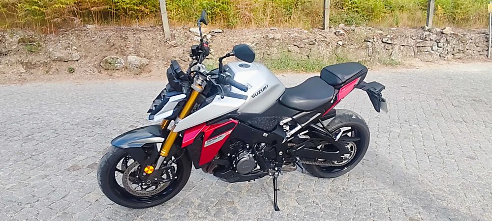 Suzuki  GSX 1000