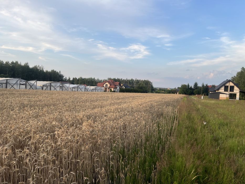 Działka budowlana Jawidz gm. Spiczyn