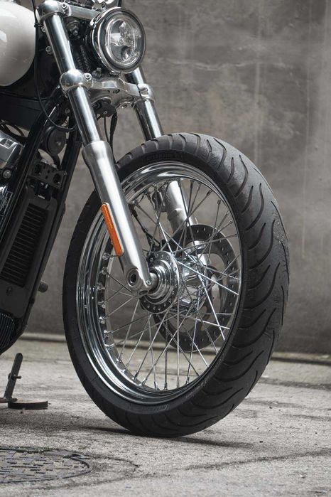 Harley Davidson Softtail Custom