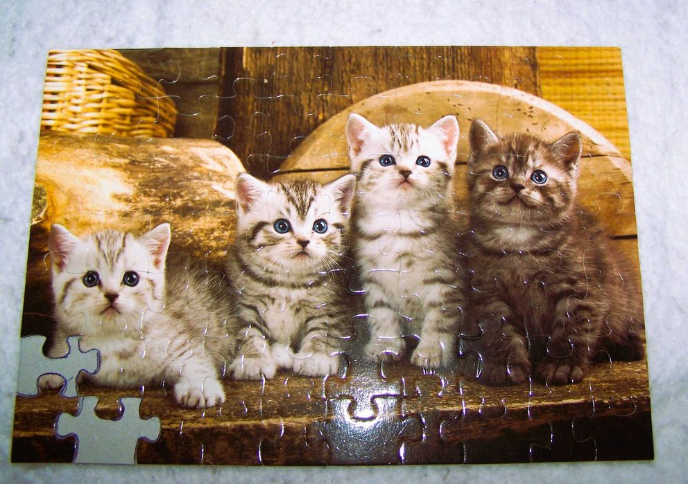 Пазлы " Британская короткошерстная кошка" 70 деталей