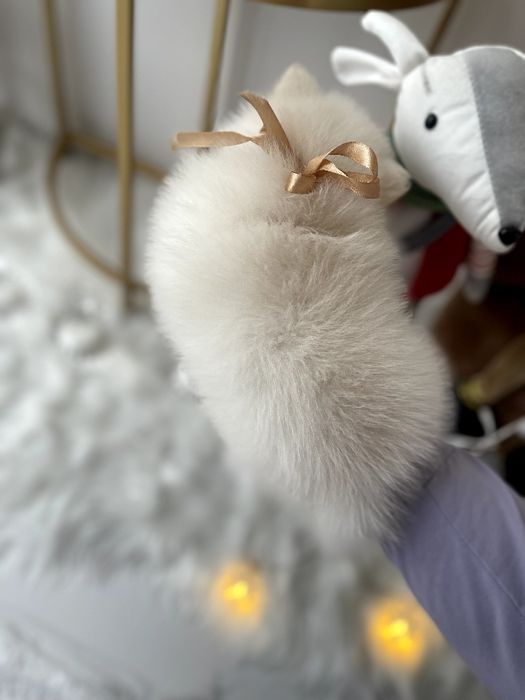 Ексклюзивні  Померанські шпіци з ідеальним характером