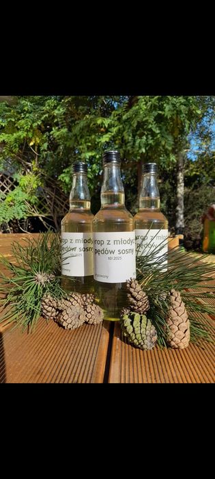 2x syrop z młodych pędów sosny 2x 500ml