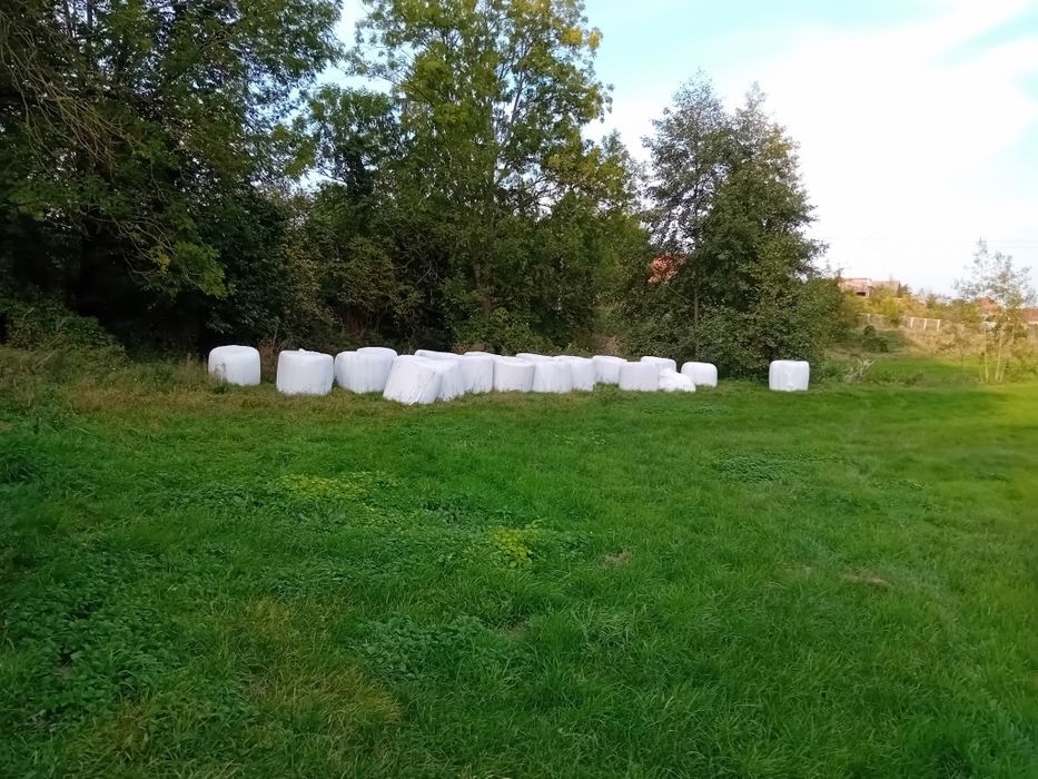 sprzedam sianokiszonkę