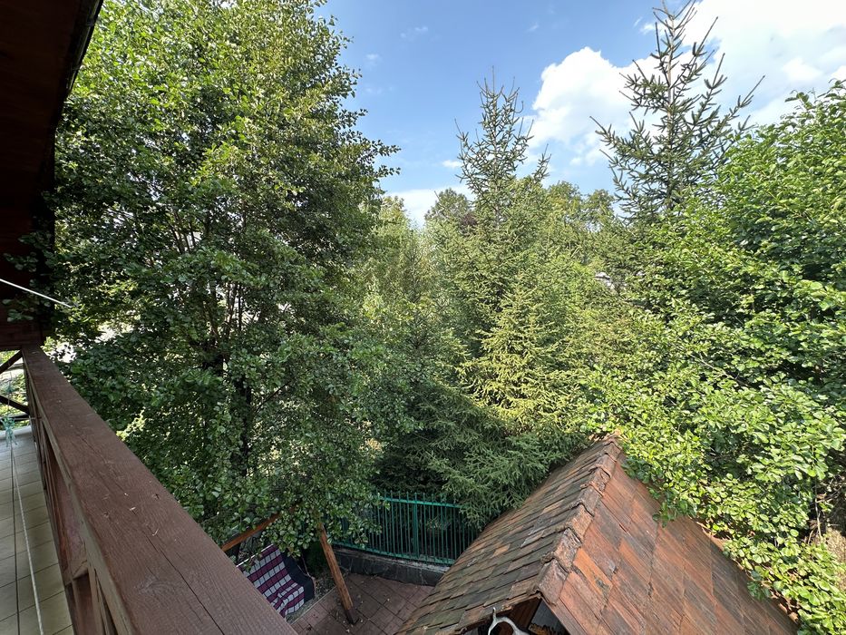 Відпочинок у Карпатах