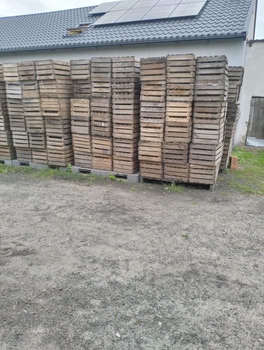 Skrzynka jedynka