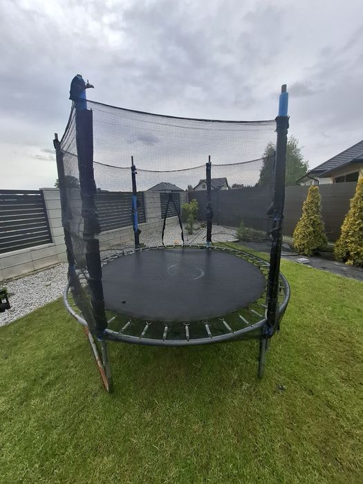 Trampolina 244cm
