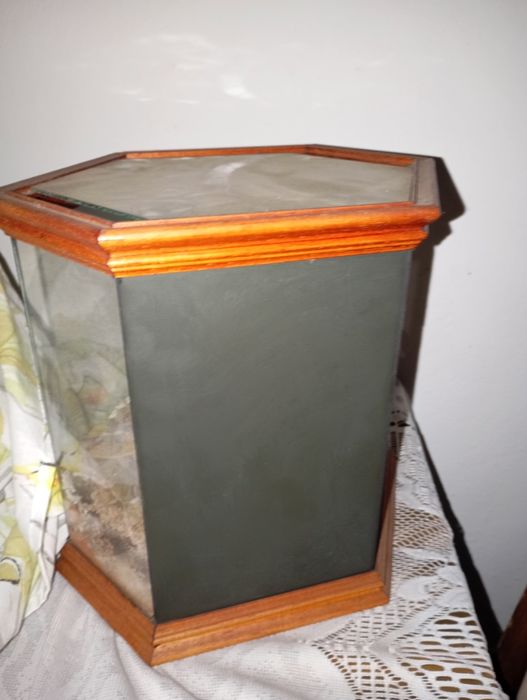 Terrário hexagonal decorativo