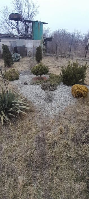 Продам дачу 12 сот  Шевченковский р,н