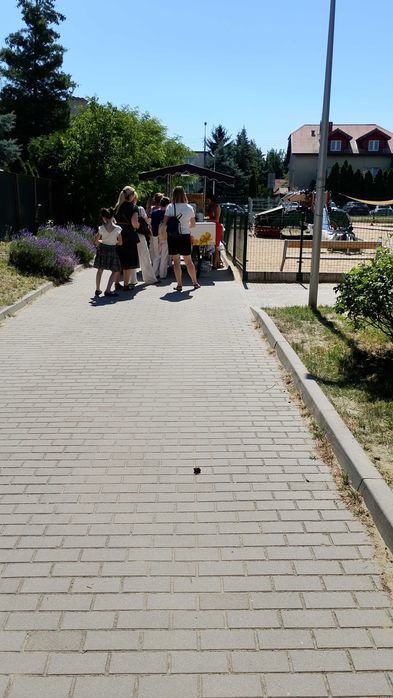 Lody na eventy i imprezy okolicznościowe
