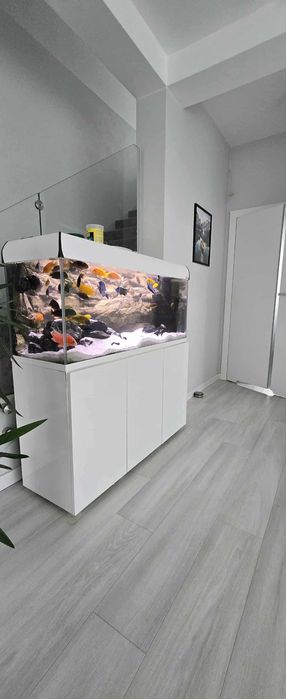 Akwarium Malawi 240L 120x40x50 Optiwhite + Fluval FX6 filtr