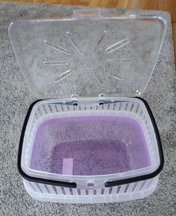 Caixa transportadora coelho