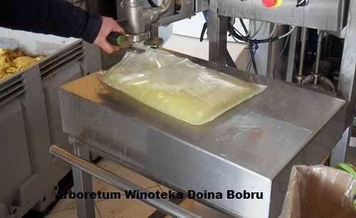 SoK Jeżyna Na102 op/6 x 330ml