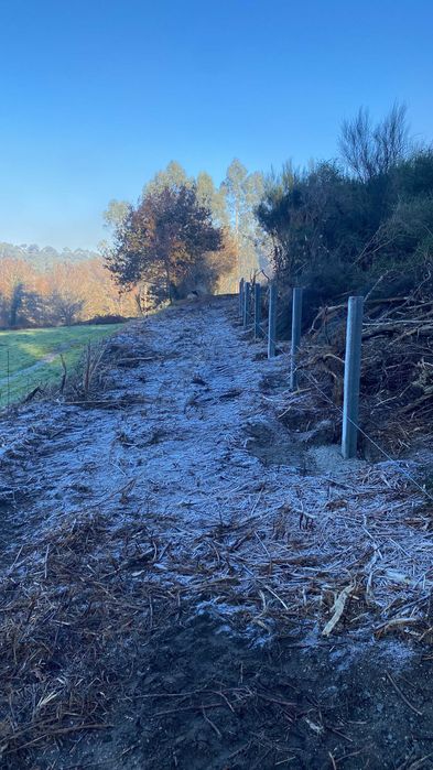 Terreno 10.000 m/2 com mina de água permanente / 10,000 m² (1 ha) plot of land with a permanent water spring
