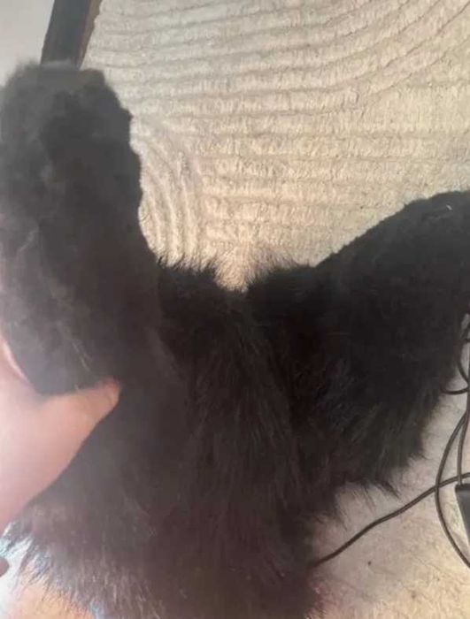 Protogen Maska Furry Fursuit cosplay led