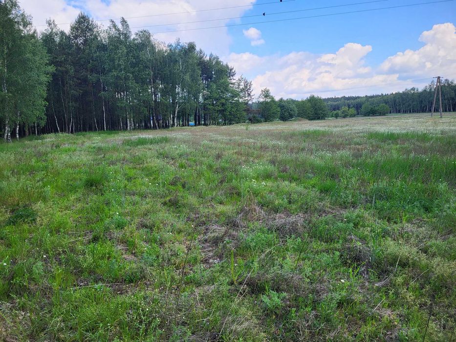 Sprzedam działki budowlane w uroczym otoczeniu lasu - Widok 5
