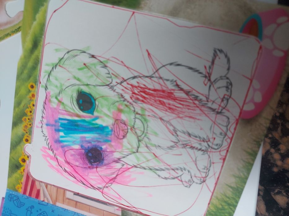 Zwierzaki domowe książka i puzzle kolorowanka