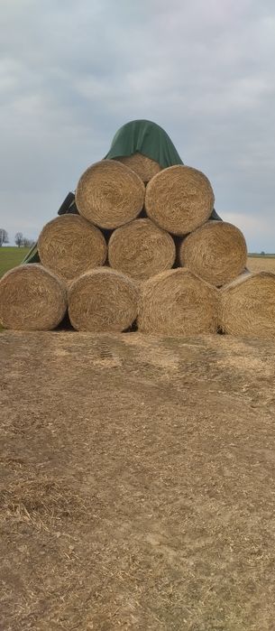 Słoma zbiór 2025