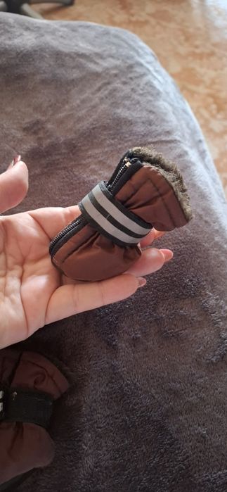 Обувка для невеличкої собачки