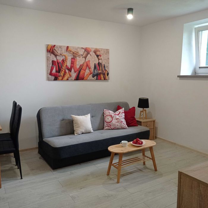 Wynajmę przytulną kawalerkę 30m2 , w suterenie, Dębiec ul. 28 czerwca 1956r