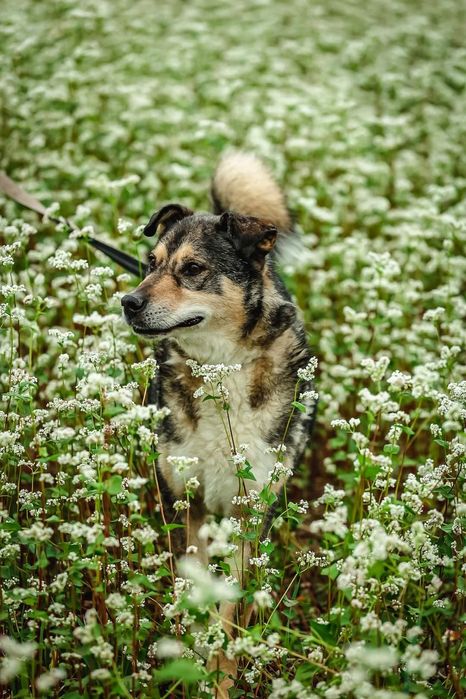 Amil czeka na domek!